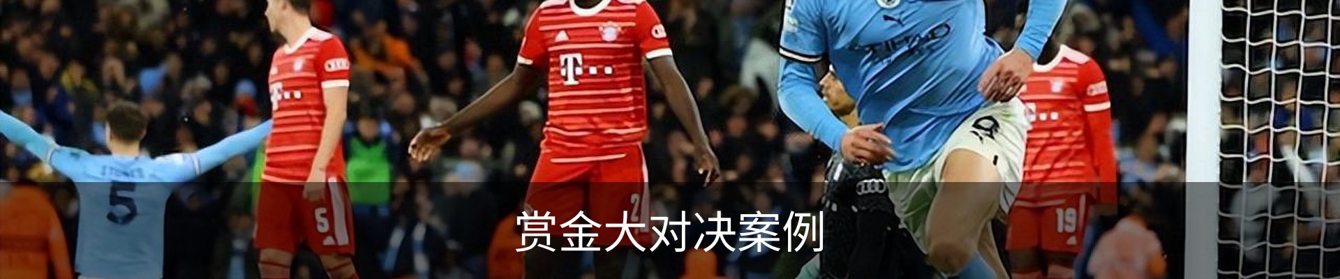 赏金大对决案例